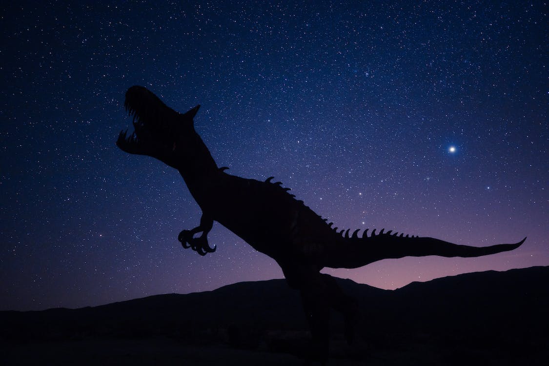 silhouette of a dinosaur